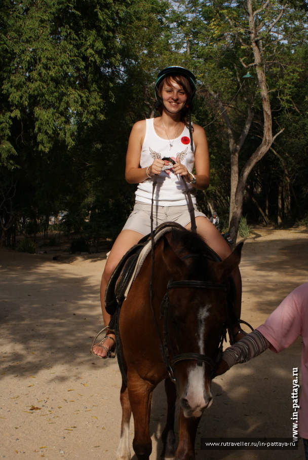 photo 171683