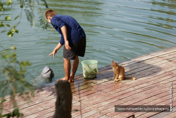 photo 171695
