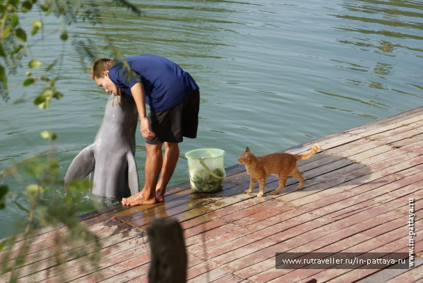 photo 171696