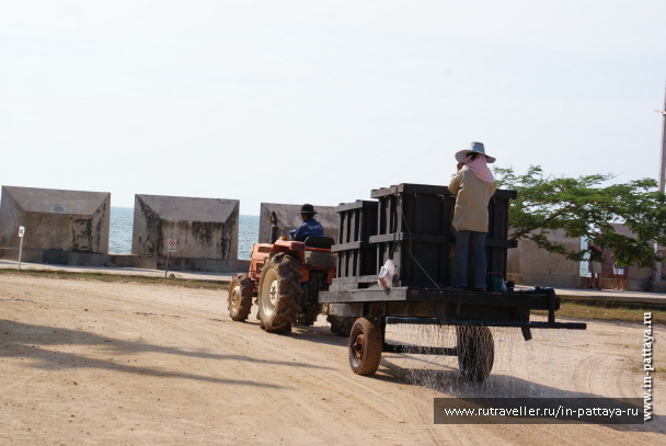 photo 171743