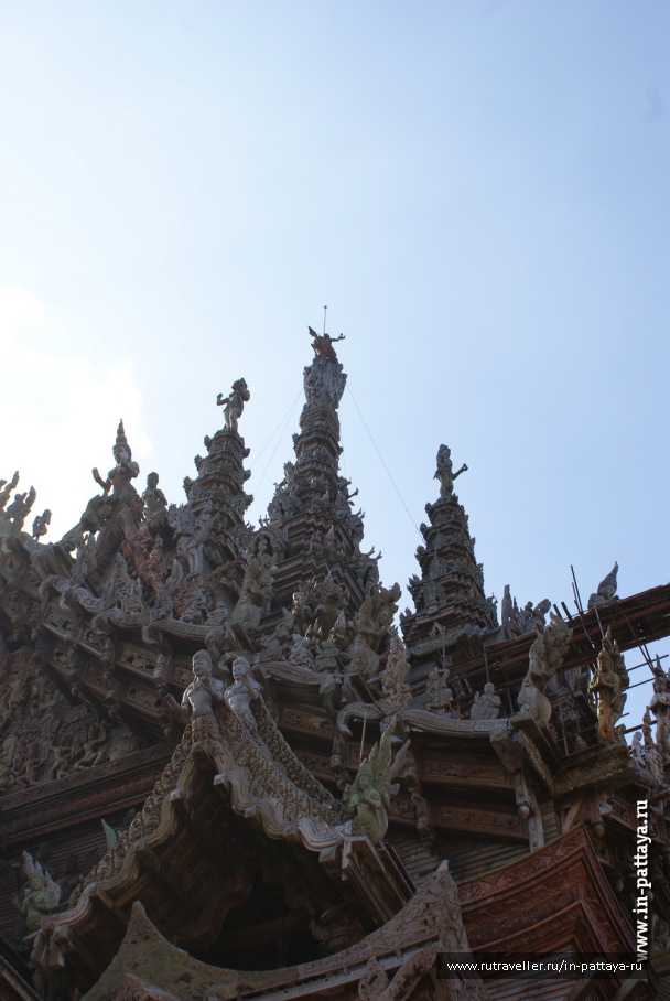 photo 171754