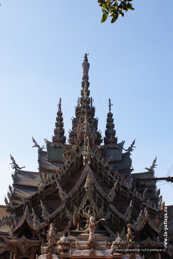 photo 171761