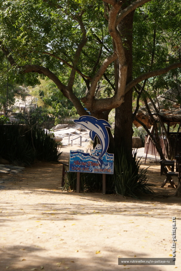 photo 171782