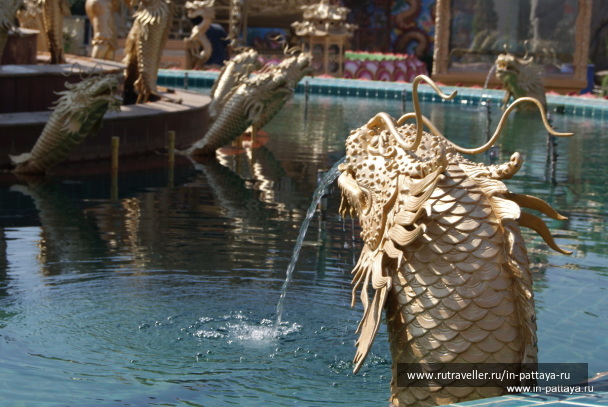 photo 431572