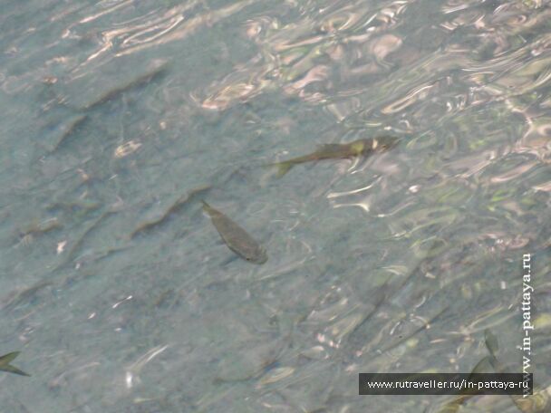 photo 32512