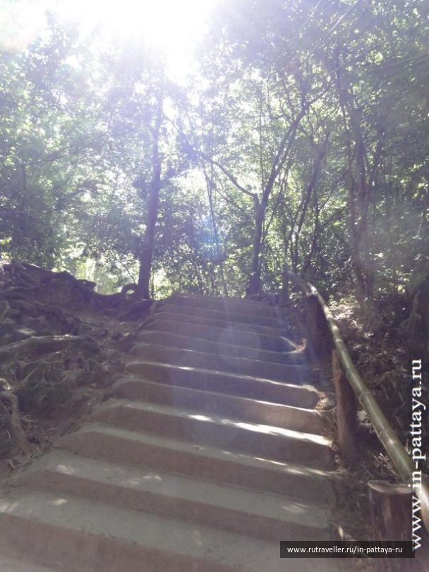 photo 32529
