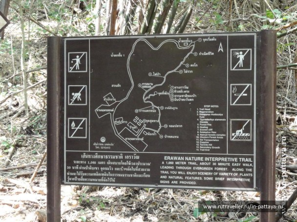 photo 32530