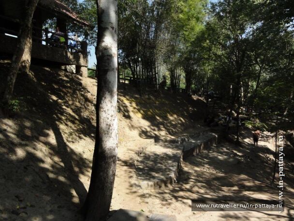 photo 32532