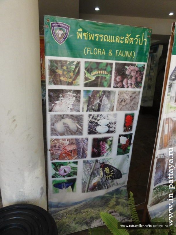 photo 32557