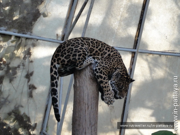 photo 32562
