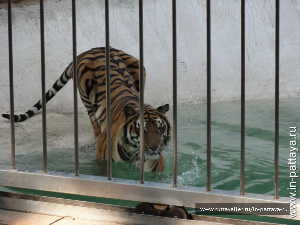 photo 32572