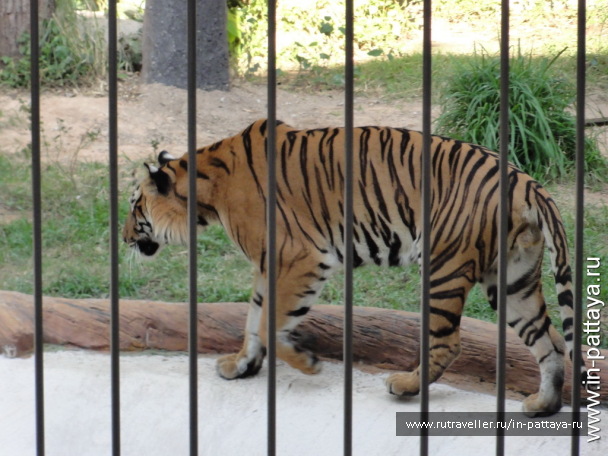 photo 32573