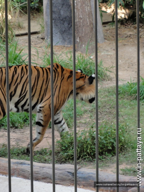 photo 32574