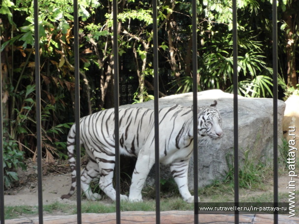 photo 32578