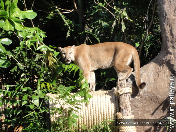 photo 32579
