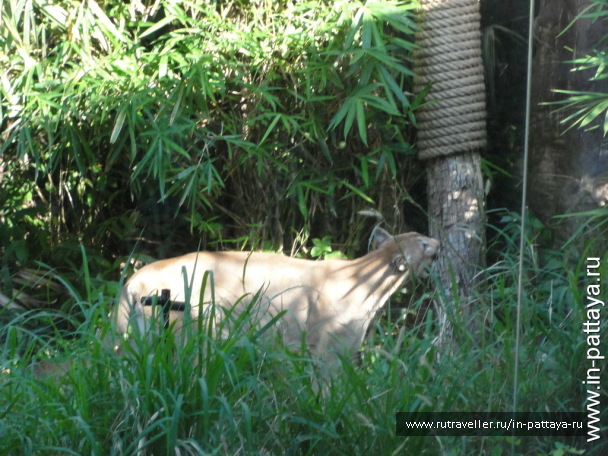 photo 32580