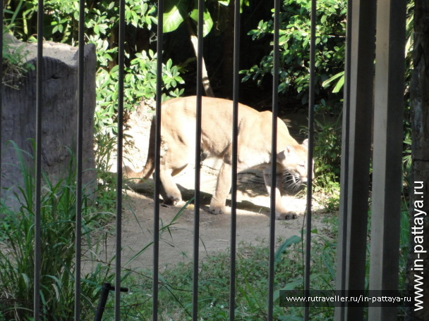 photo 32581