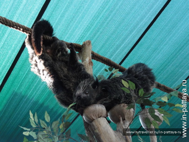 photo 32584