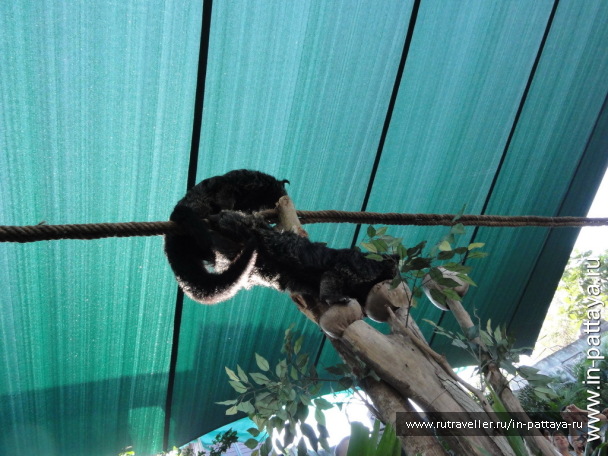 photo 32586