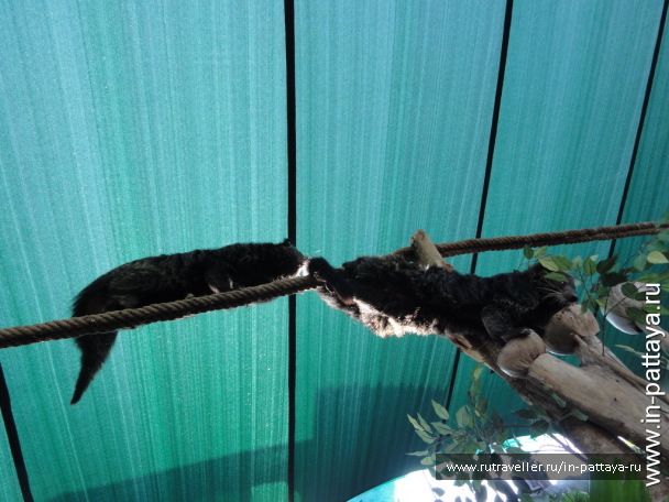 photo 32587