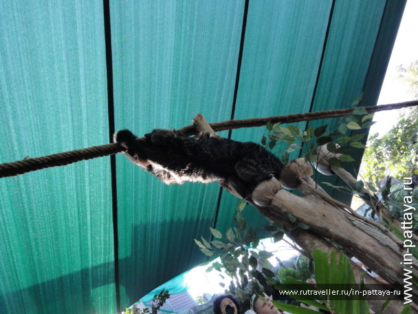 photo 32588