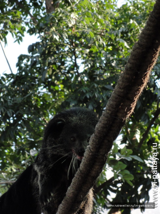 photo 32589