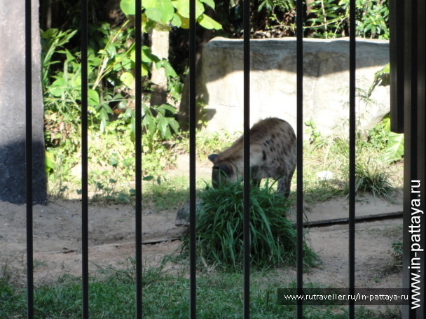 photo 32591