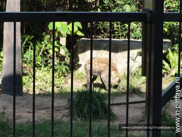 photo 32592