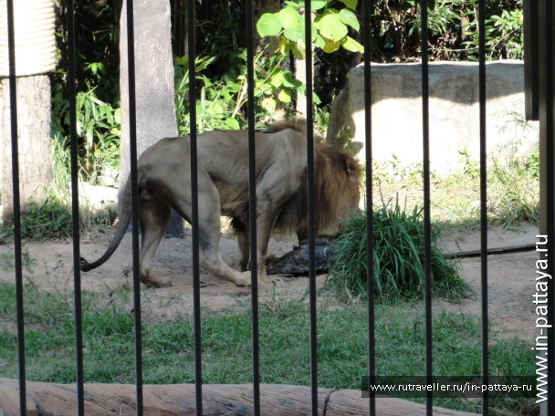 photo 32593