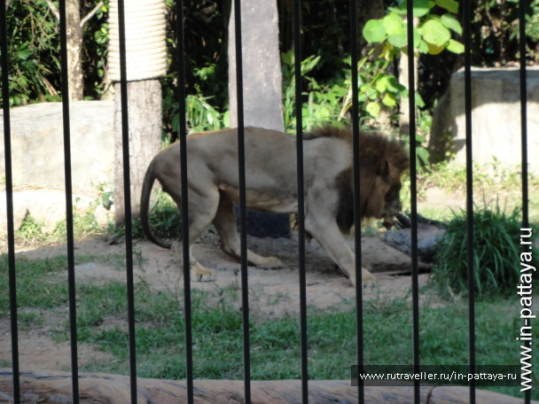 photo 32594