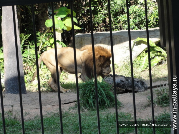 photo 32595