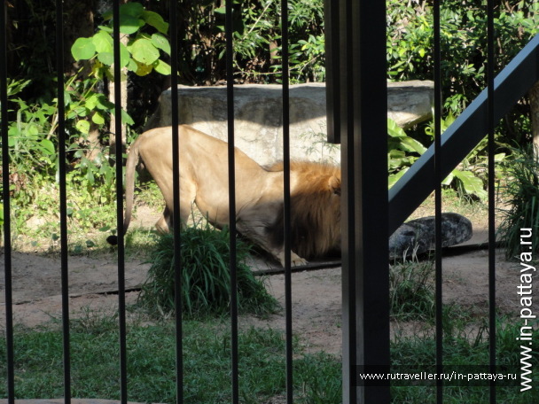photo 32596