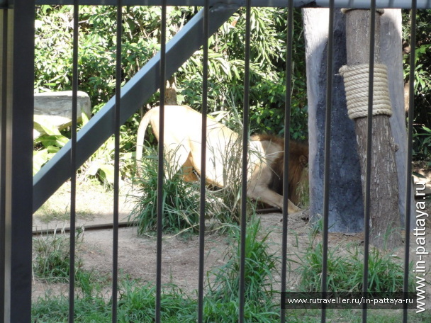 photo 32597