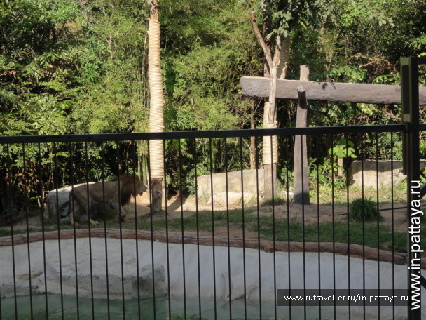 photo 32598