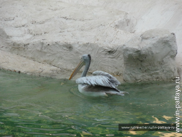 photo 32625