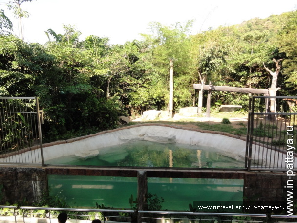 photo 32632