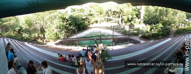 photo 32633