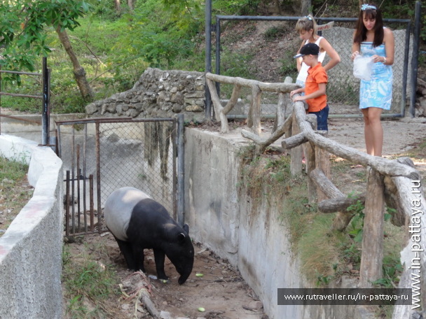 photo 32634