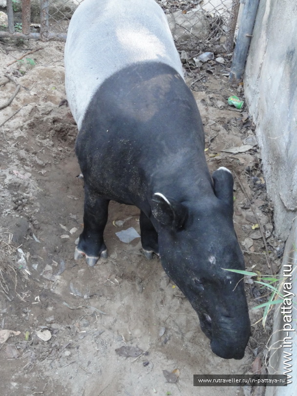 photo 32635
