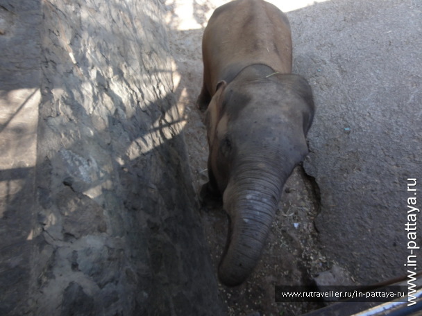 photo 32644
