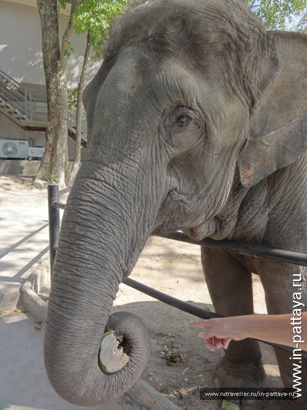 photo 32653