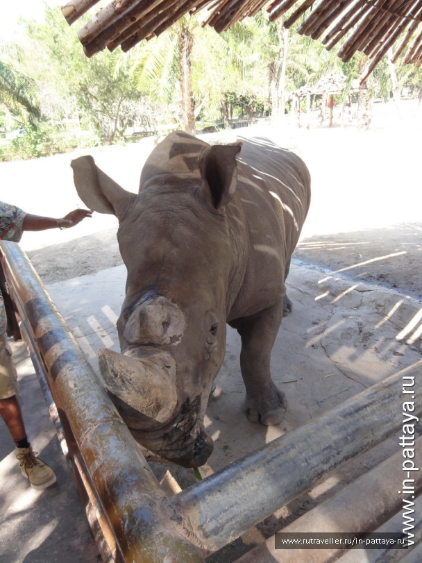 photo 32662