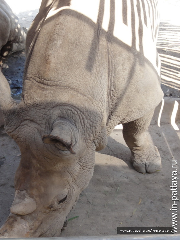 photo 32664