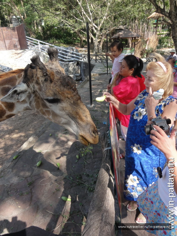 photo 32679