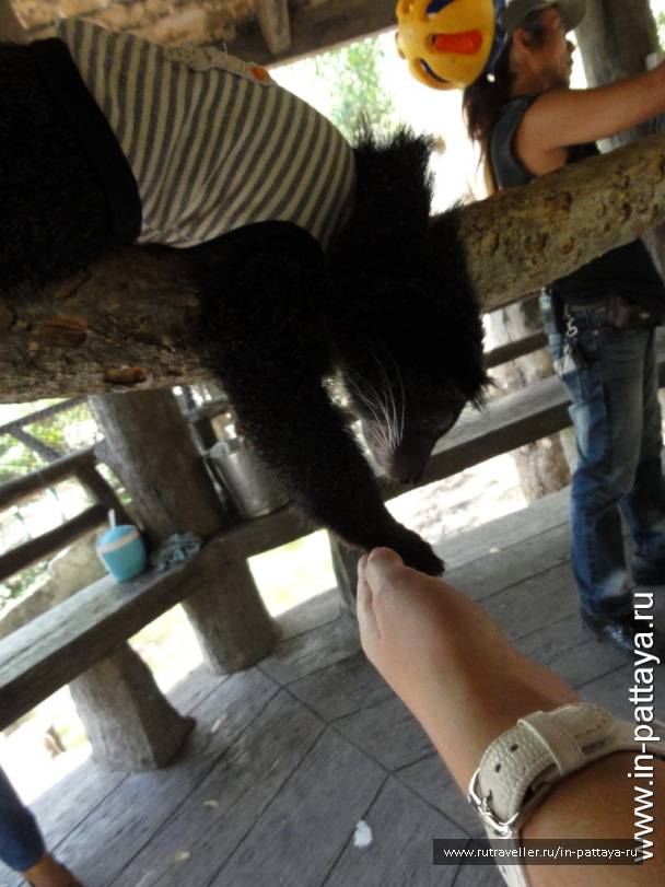 photo 32689