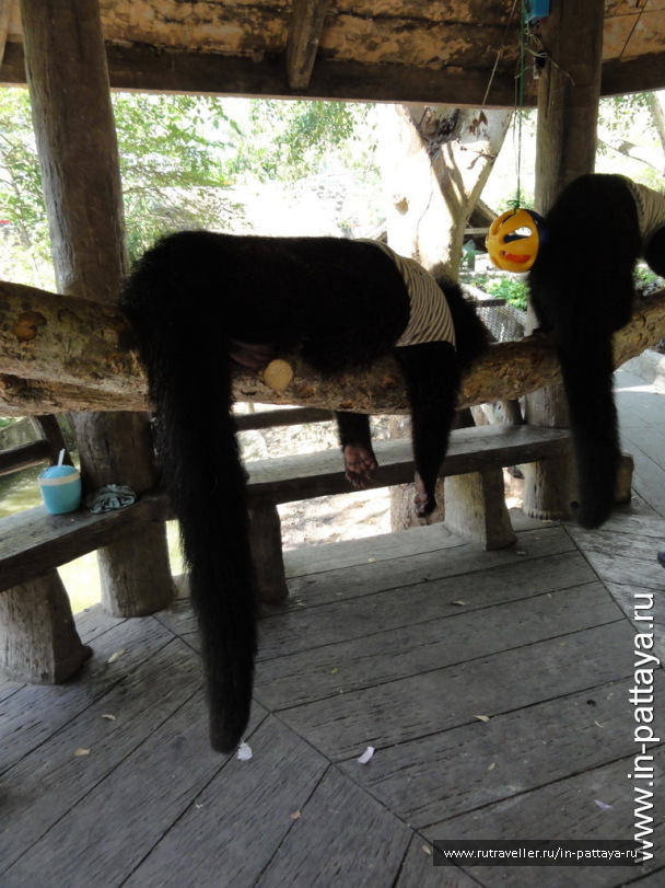 photo 32690