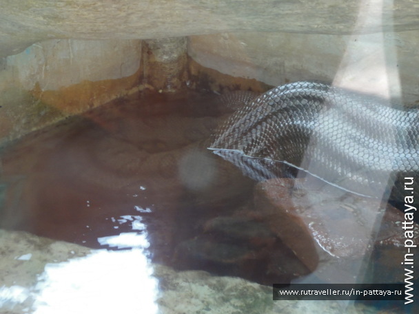 photo 32720