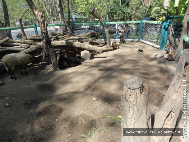 photo 32723