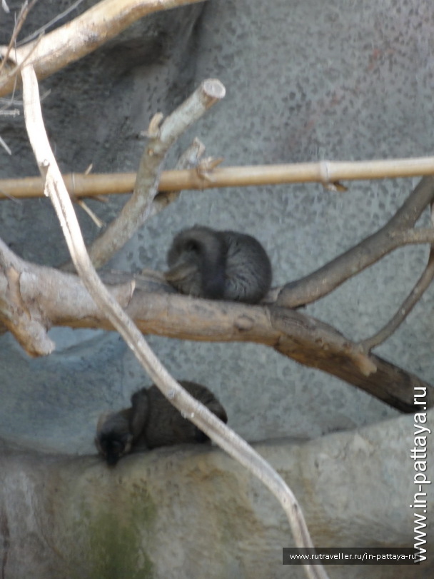 photo 32724