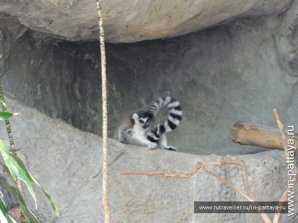 photo 32726